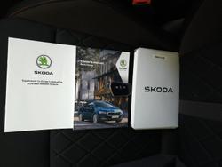 2023 SKODA Octavia RS NX MY24 Mamba Green