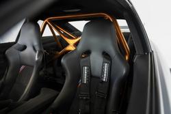 2016 BMW M4 GTS F82 Frozen Dark Grey