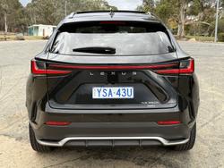 2022 Lexus NX NX350h F Sport