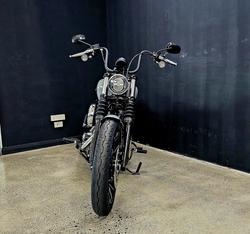 2025 Harley-Davidson Street Bob 117 (FXBB) Softail Grey