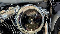 2025 Harley-Davidson Street Bob 117 (FXBB) Softail Grey