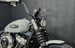 2025 Harley-Davidson Street Bob 117 (FXBB) Softail Grey