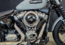 2025 Harley-Davidson Street Bob 117 (FXBB) Softail Grey