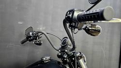 2025 Harley-Davidson Street Bob 117 (FXBB) Softail Black