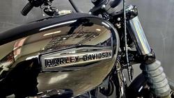 2025 Harley-Davidson Street Bob 117 (FXBB) Softail Black