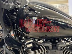 2025 Harley-Davidson Low Rider ST 117 (FXLRST) Softail Black