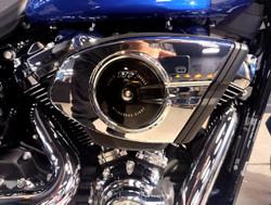 2025 Harley-Davidson Fat Boy 117 (FLFB) Softail Blue