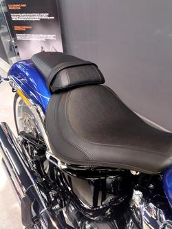 2025 Harley-Davidson Fat Boy 117 (FLFB) Softail Blue