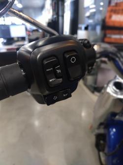 2025 Harley-Davidson Fat Boy 117 (FLFB) Softail Blue