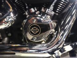 2025 Harley-Davidson Fat Boy 117 (FLFB) Softail Blue