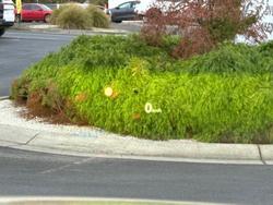 2022 Mazda CX-5 D35 Akera