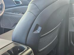 2025 Kia
Carnival Sport