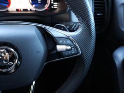 2024 SKODA Kodiaq RS NS MY24 4X4 Steel Grey