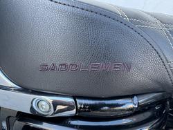 2018 Harley-davidson FLSB SPORT GLIDE Silver