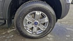 2024 Ford
Ranger XLT