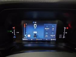 2024 Ford
                Everest Sport