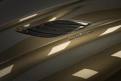 2021 Aston Martin DBS Superleggera MY21 Olive Green
