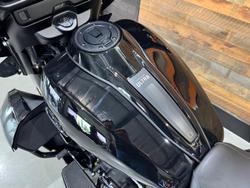 2025 Harley-Davidson Street Glide Ultra 117 (FLHXU) Touring Black