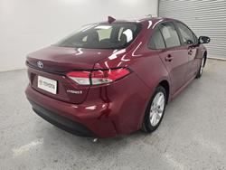 2023 Toyota Corolla Ascent Sport Hybrid ZWE219R Atomic Rush