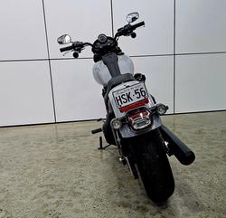 2025 Harley-Davidson Low Rider S 117 (FXLRS) Softail