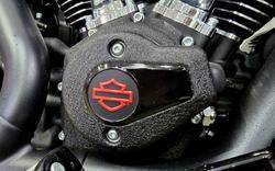 2025 Harley-Davidson Low Rider S 117 (FXLRS) Softail