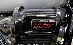 2025 Harley-Davidson Low Rider S 117 (FXLRS) Softail