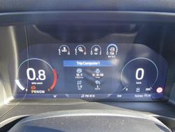 2025 Ford
                Everest Platinum