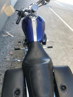 2005 Harley-Davidson
                1200 Custom (XL1200C) 
