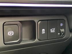 2024 Hyundai
Santa Fe Hybrid Calligraphy