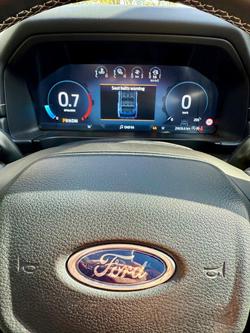 2024 Ford
                Everest Platinum
