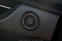 2025 Kia
Seltos Sport+