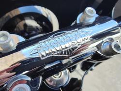 2025 HARLEY-DAVIDSON HERITAGE CLASSIC 117 (FLHC) ROAD WHISKEY FIRE/VIVID BLACK