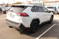 2020 Toyota
                RAV4 Cruiser