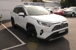 2020 Toyota
                RAV4 Cruiser