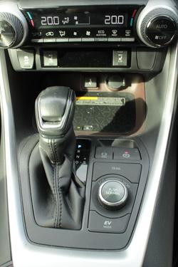2020 Toyota
                RAV4 Cruiser