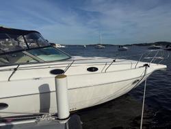 2006 Sunrunner 3700LE