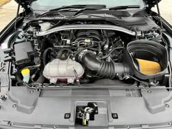 2018 Ford Mustang BULLITT FN MY19 Bright Highland Green