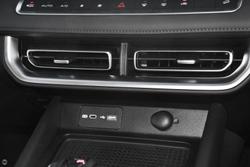 2025 GWM Cannon Premium