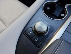 2022 Lexus
RX 300 Crafted Edition