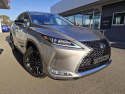 2022 Lexus
                RX 300 Crafted Edition