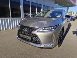2022 Lexus
                RX 300 Crafted Edition