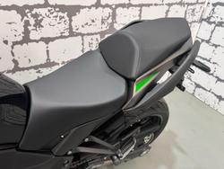 2024 Kawasaki Ninja 1000SX Ninja Green