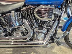 2001 Harley-Davidson Springer Softail 88 (FXSTS) Softail Blue