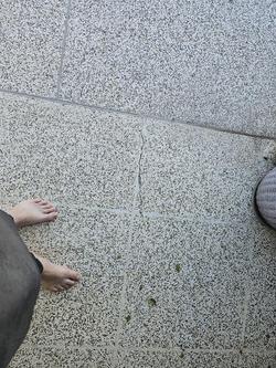 2025 McNeill 4 Dog Deluxe