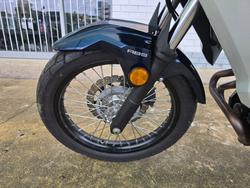 2025 Kawasaki VERSYS-X 300