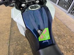 2025 Kawasaki VERSYS-X 300