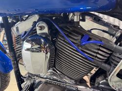 2007 Harley-davidson FXST SOFTAIL STANDARD Blue