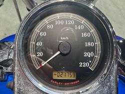 2007 Harley-davidson FXST SOFTAIL STANDARD Blue