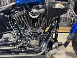 2007 Harley-davidson FXST SOFTAIL STANDARD Blue