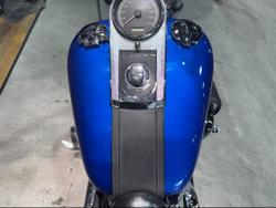 2007 Harley-davidson FXST SOFTAIL STANDARD Blue